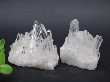Quartz Crystal Cluster Specimens in Group of Two