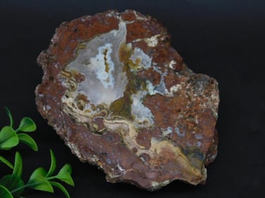 Polished Agate Specimen With Patterns