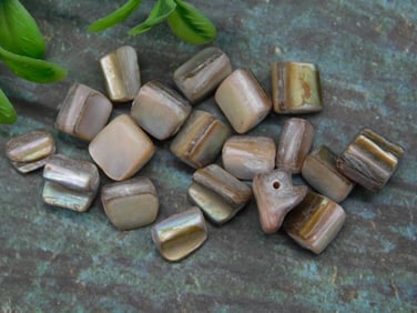 Collection of Polished Stone Beads