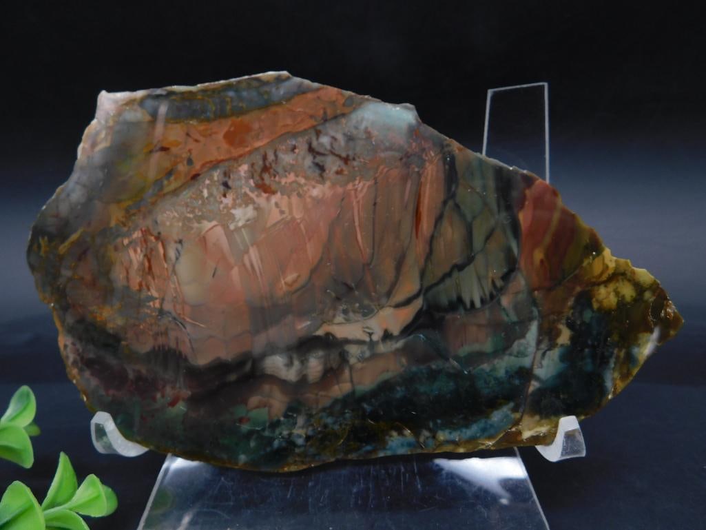 Polished Multicolored Jasper Stone Slice: A polished slice of jasper stone featuring vivid, multicolored patterns and natural striations. The piece weighs approximately 926 grams and is displayed on a clear stand for presentation. Ideal for c