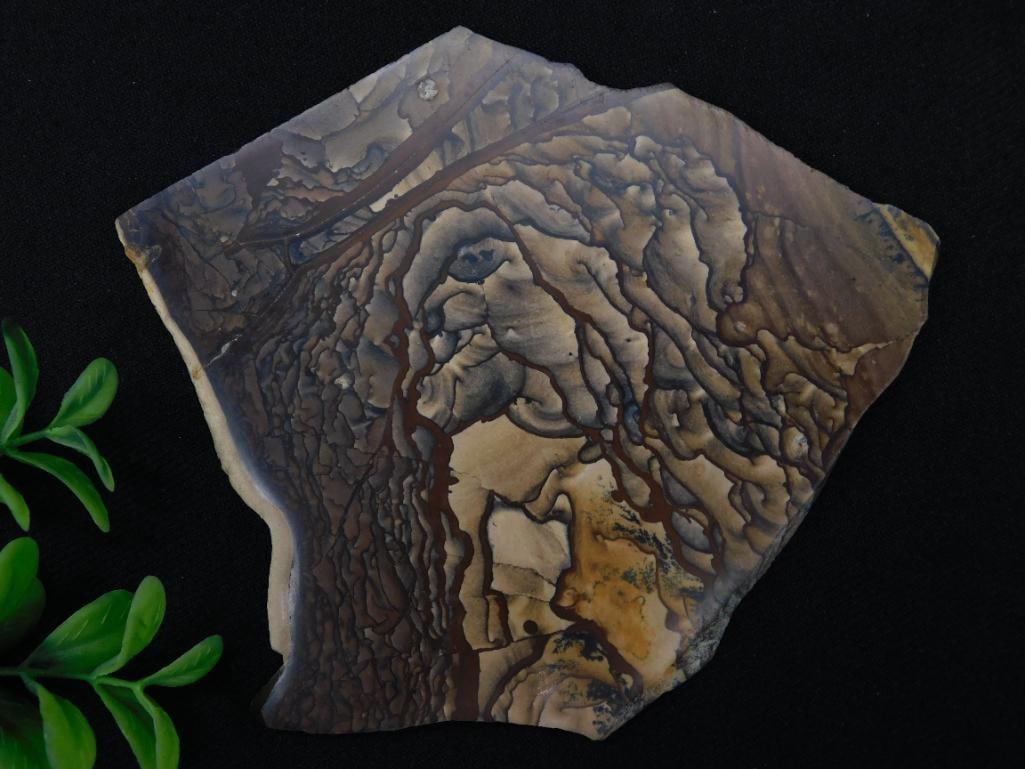 Brown Picture Jasper Slab for Lapidary or Display: Brown Picture Jasper slab showcasing natural flowing patterns and formations. Ideal for lapidary, crafting, or display purposes. Dimensions available on ruler in images. Weight is marked as 74 grams. 