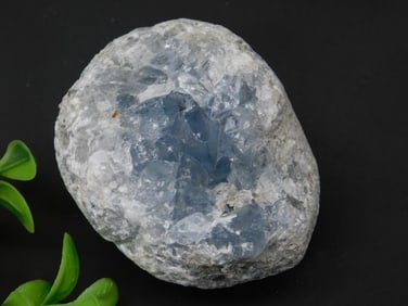 Raw Celestite Geode with Blue Crystals