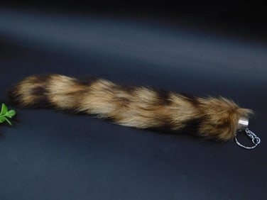 RACCOON TAIL TAXIDERMY WITH KEYCHAIN