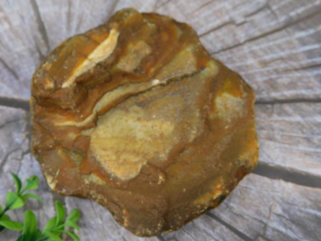 Rough Agate ROCK STONE LAPIDARY SPECIMEN: Natural rock displaying visible stratified layers in brown and yellow tones. Edges exhibit raw cuts with a slightly uneven texture. Measurements visible near a ruler for scale. Ideal for collectors or