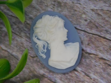 Blue and White Cameo Brooch or Pendant