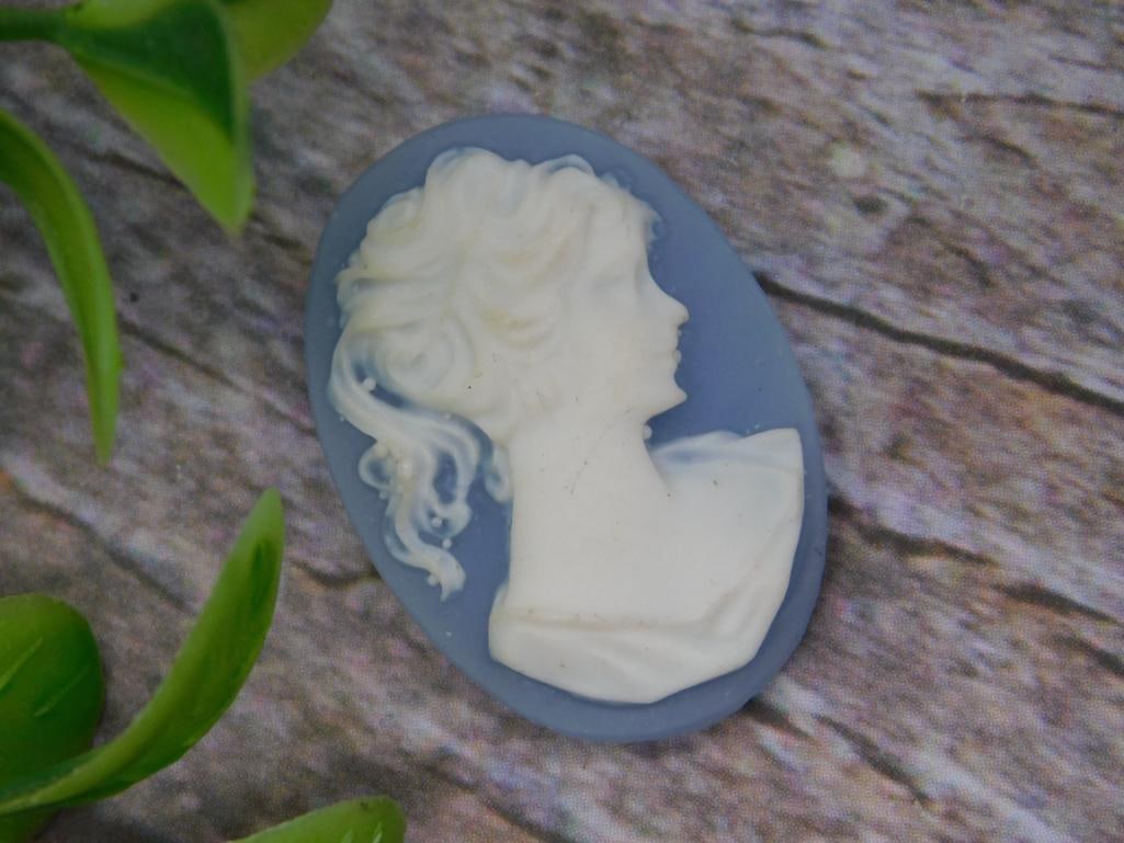 Blue and White Cameo Brooch or Pendant: This item is a blue and white cameo featuring a relief of a female bust in profile. The materials appear to be a combination of resin or similar composite for the design. The approximate size is shown