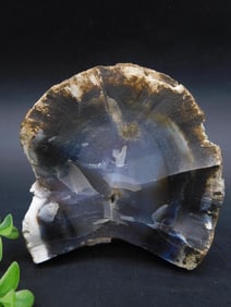 AGATE ROCK STONE LAPIDARY Specimen