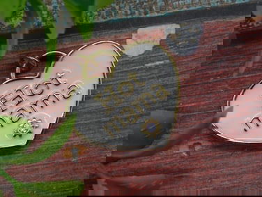 Gold-Tone ?Hot Mama? Heart Pendant With Rhinestone Accent