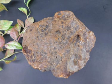 Iron-Like Rock Specimen With Textured Surface