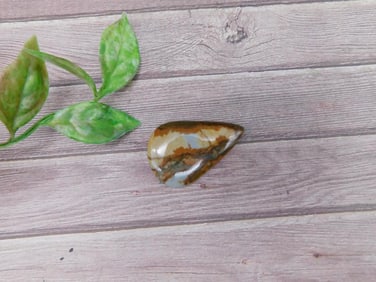Turquoise Cabochon Rock Stone Lapidary Specimen
