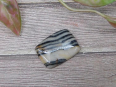 Striped Rectangular Polished Stone for Collectors