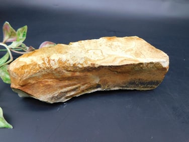 JASPER ROCK STONE LAPIDARY SPECIMEN