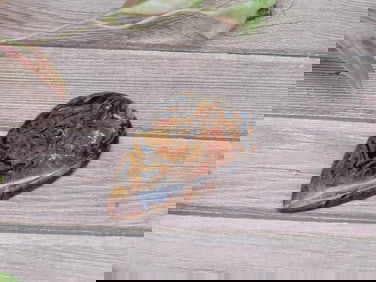 PIETERSITE ROCK STONE LAPIDARY SPECIMEN