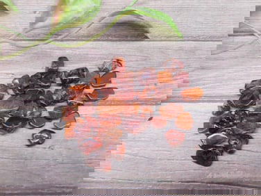 Lot of Polished Carnelian Gemstone, Various Sizes