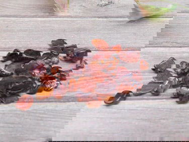 Collection of Carnelian Gemstones 12 Grams