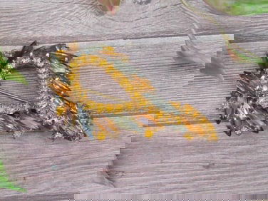 Rhinestone and Glass Brooch with Amber and Smoky Tones