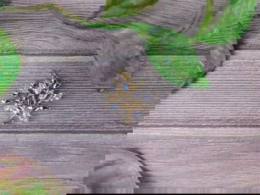 Gold-Tone Brooch with Clear Gemstone Accents