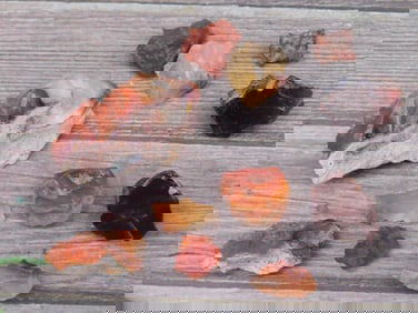 ROUGH OPALS ROCK STONE LAPIDARY SPECIMEN