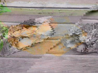 JASPER Specimen With Unique Patterns