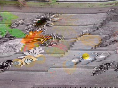 Collection of Assorted Decorative Brooches in Mixed Styles