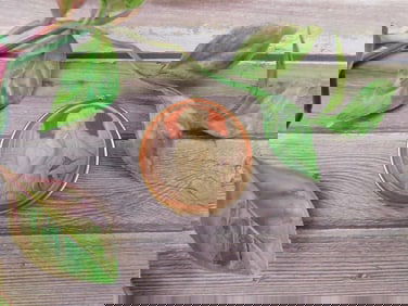 Gold-Tone Cameo Locket with Mirror