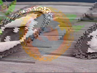 Pisces Zodiac Hinged Bracelet with Fish Design