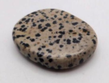 DALMATION JASPER AGATE ROCK STONE LAPIDARY SPECIMEN