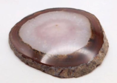 PETRIFIED WOOD SLICE ROCK STONE LAPIDARY SPECIMEN