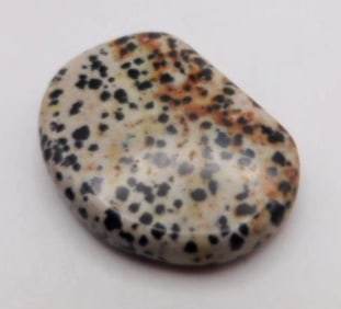 DALMATION JASPER AGATE ROCK STONE LAPIDARY SPECIMEN