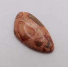FOSSIL BONE CABOCHON ROCK STONE LAPIDARY SPECIMEN