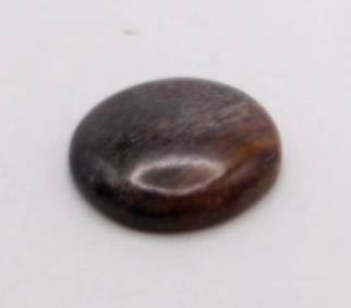 DINOSAUR BONE CABOCHON ROCK STONE LAPIDARY SPECIMEN