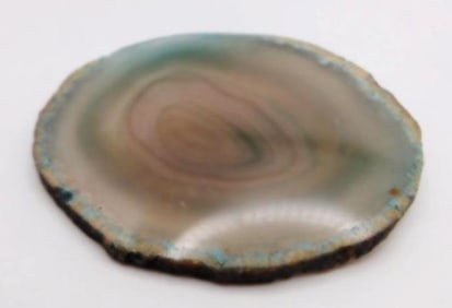 PETRIFIED WOOD SLICE ROCK STONE LAPIDARY SPECIMEN