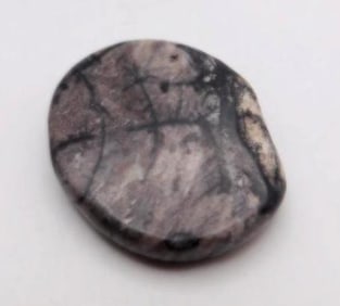 PICASSO JASPER PALM STONE ROCK STONE LAPIDARY SPECIMEN