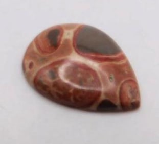 FOSSIL BONE CABOCHON ROCK STONE LAPIDARY SPECIMEN