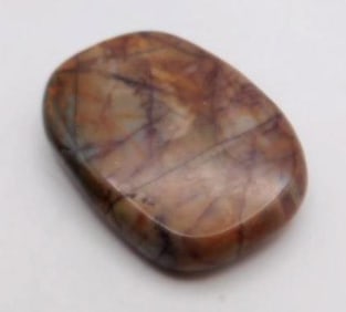 NETWORK JASPER PALM STONE ROCK STONE LAPIDARY SPECIMEN