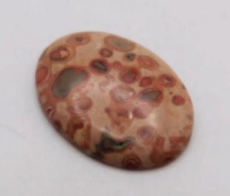 FOSSIL BONE CABOCHON ROCK STONE LAPIDARY SPECIMEN