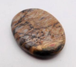 NETWORK JASPER ROCK STONE LAPIDARY SPECIMEN
