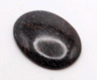 DINOSAUR BONE CABOCHON ROCK STONE LAPIDARY SPECIMEN