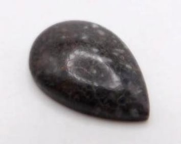 DINOSAUR BONE CAMBOCHON ROCK STONE LAPIDARY SPECIMEN