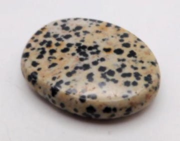 DALMATION JASPER AGATE ROCK STONE LAPIDARY SPECIMEN