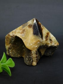SEPTARIAN POINT ROCK STONE LAPIDARY SPECIMEN