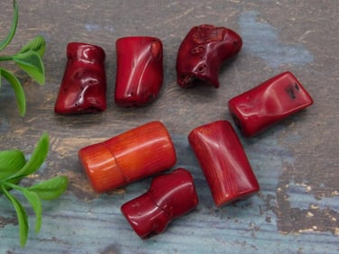 RED CORAL ROCK STONE LAPIDARY SPECIMEN