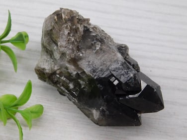 SMOKY QUARTZ ROCK STONE LAPIDARY SPECIMEN