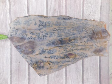DENDRITIC SLAB ROCK STONE LAPIDARY SPECIMEN