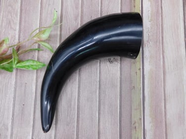Polished Black Horn Decorative Item