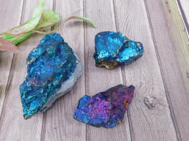 Three Chalcopyrite Mineral Specimens in Vibrant Colors