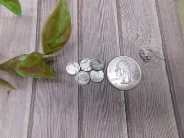 Set of Five Miniature Replica Currency Coins