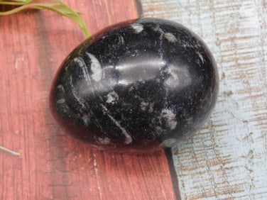 ORTHOCERAS EGG ROCK STONE LAPIDARY SPECIMEN