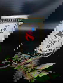 Atlanta 1996 Centennial Olympic Games Stein