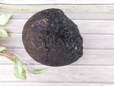 BRAZILIAN AGATE ROCK STONE LAPIDARY SPECIMEN